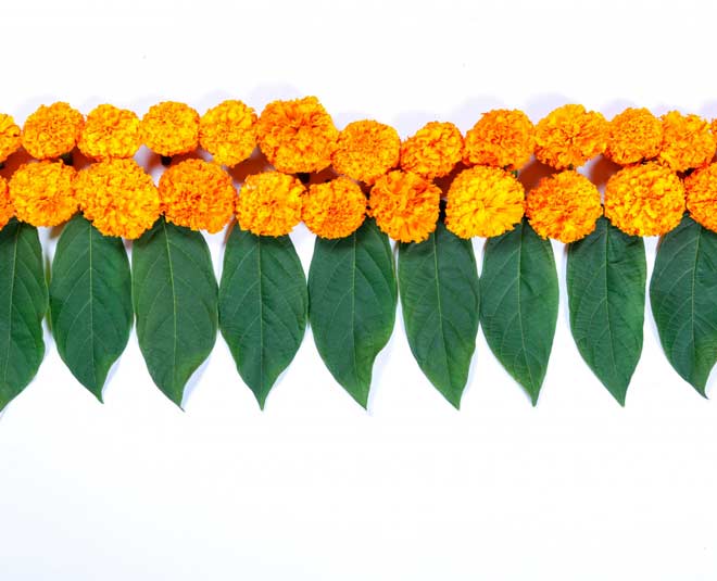 PunjabKesari Vastu Tips