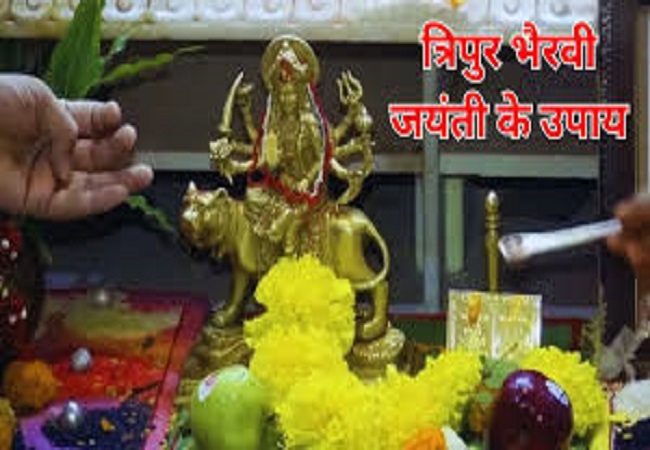 PunjabKesari Tripur Bhairavi Jayanti 2025