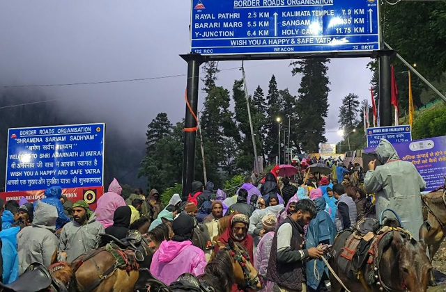 PunjabKesari, Female devotee falls from pony during Amarnath Yatra