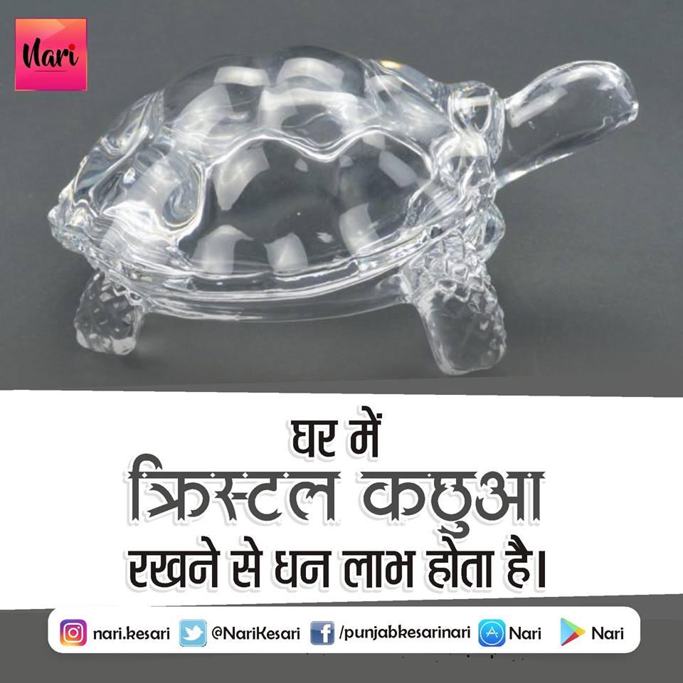 PunjabKesari
