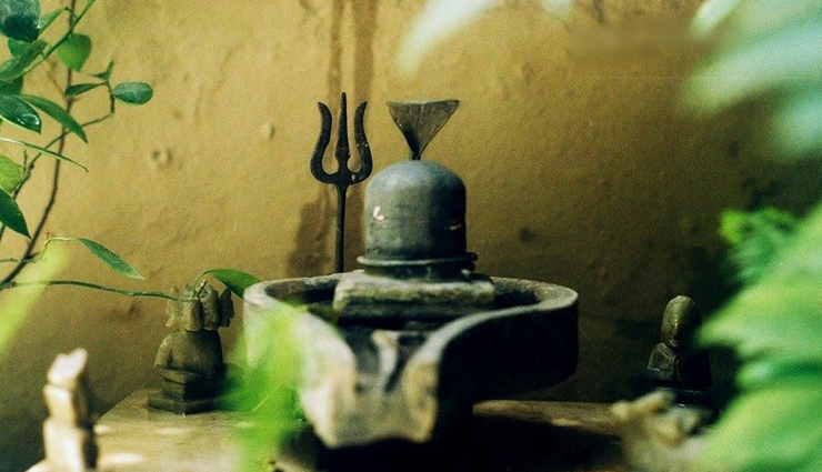 PunjabKesari, kundli tv