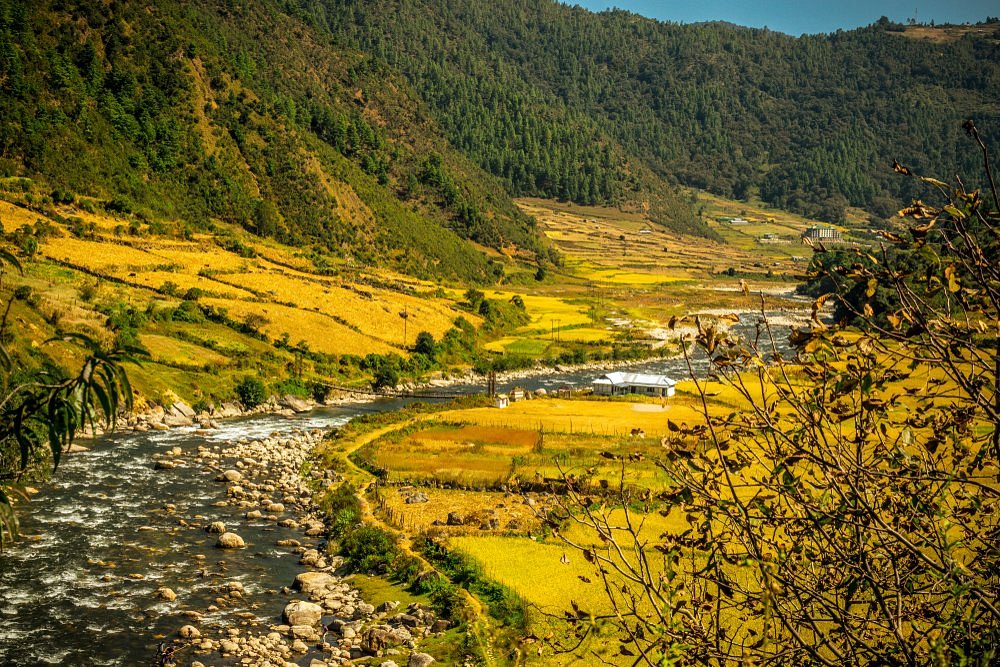 PunjabKesari Arunachal Pradesh