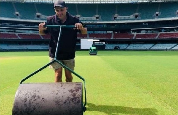 sports news, Cricket news in hindi, Test Series, Ind vs Aus, First test, Edilate, Pitch curator, Damian hog, grass on pitch