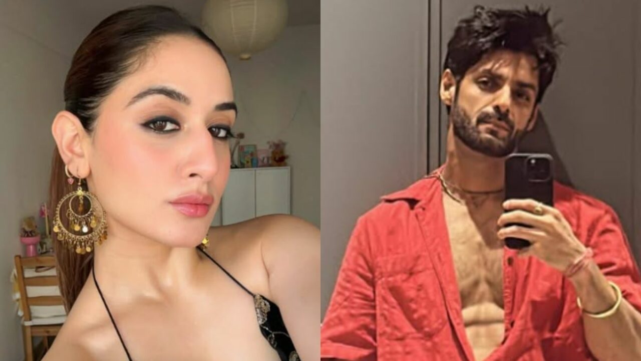 Karan Wahi Uditi Singh Breakup