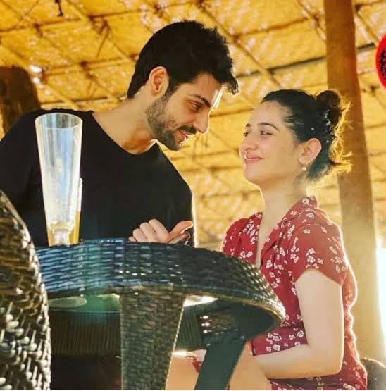 Karan Wahi Uditi Singh Breakup