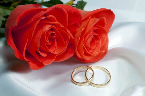 PunjabKesari हैप्पी रोज डे इमेज डाउनलोड, रोज डे फोटो वॉलपेपर डाउनलोड, rose day hd image, Red rose image