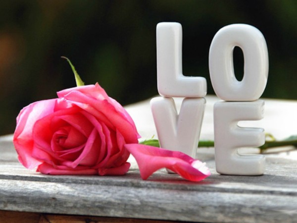 PunjabKesari image, हैप्पी रोज डे इमेज डाउनलोड, रोज डे फोटो वॉलपेपर डाउनलोड, rose day hd image