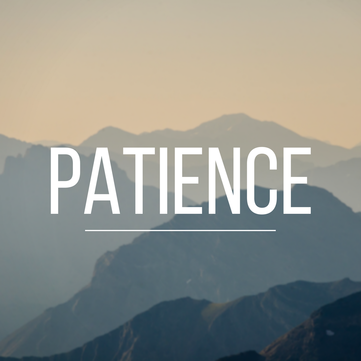 PunjabKesari, Patience, धैर्य