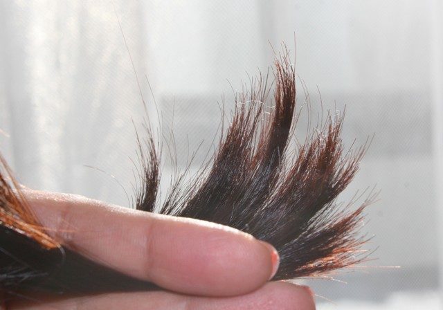 PunjabKesari,nari,split ends