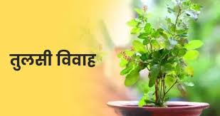 PunjabKesari Tulsi Vivah