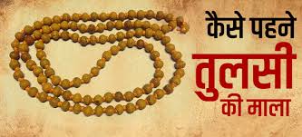 PunjabKesari Tulsi Mala Ke Niyam