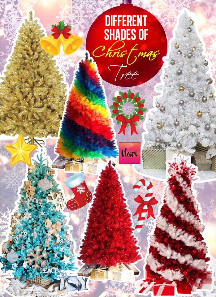PunjabKesari, christmas tree, christmas tree photo,christmas tree images,christmas tree pictures,christmas tree pic, क्रिसमस ट्री इमेज