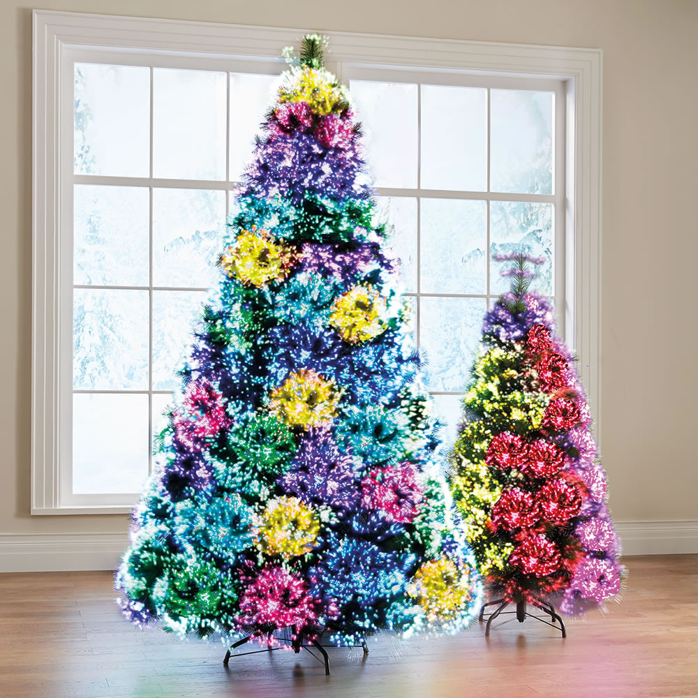 PunjabKesari, christmas tree, christmas tree photo,christmas tree images,christmas tree pictures,christmas tree pic, क्रिसमस ट्री इमेज