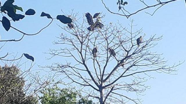 PunjabKesari Inspirational Context