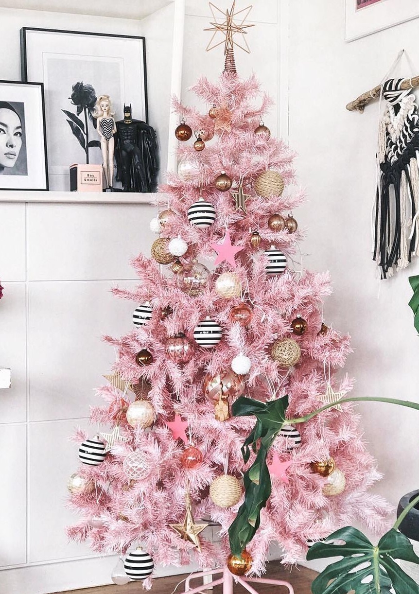 PunjabKesari, christmas tree, christmas tree photo,christmas tree images,christmas tree pictures,christmas tree pic, क्रिसमस ट्री इमेज