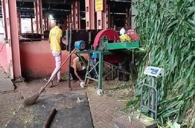 cowshed incident