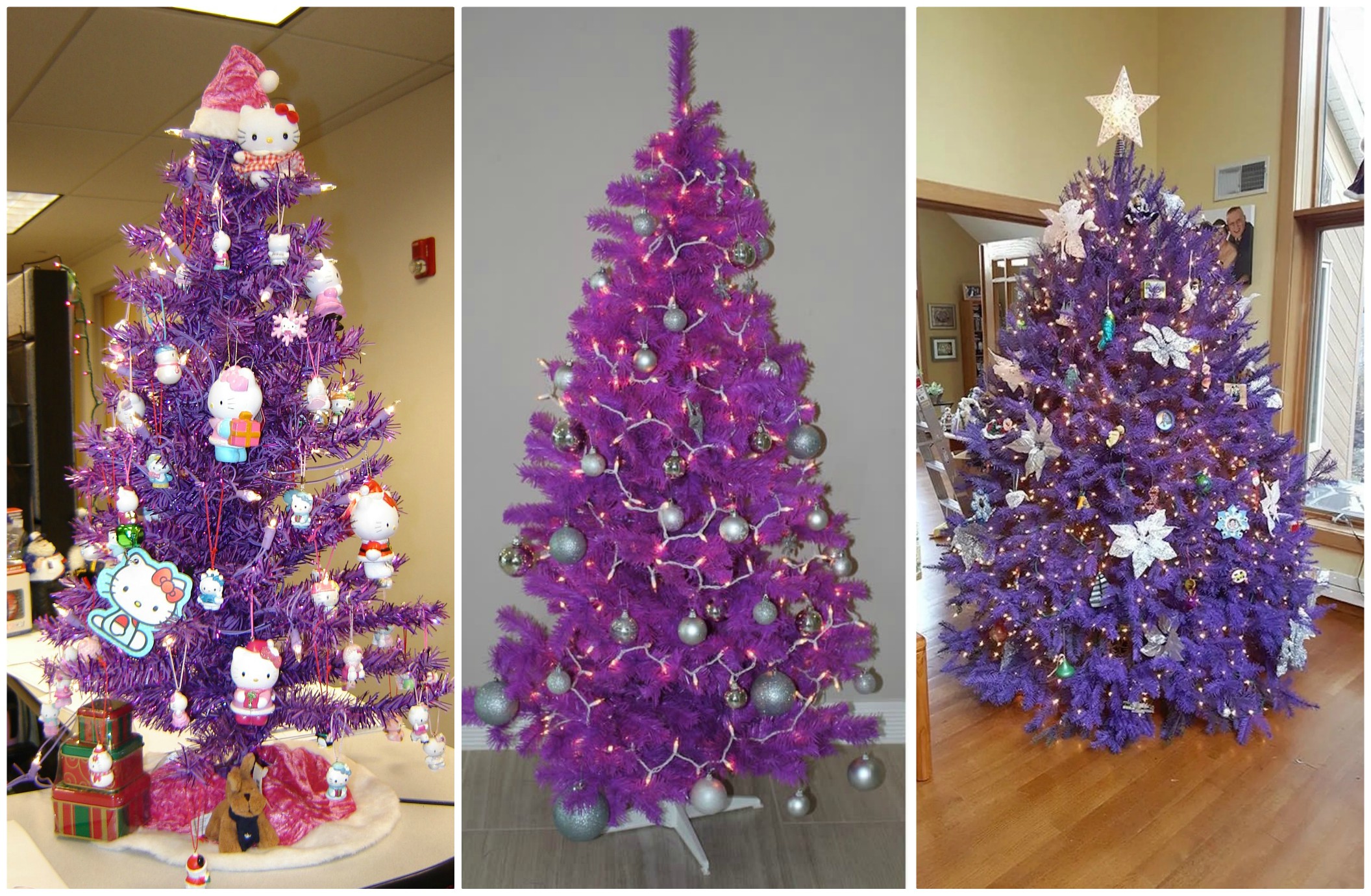 PunjabKesari, christmas tree, christmas tree photo,christmas tree images,christmas tree pictures,christmas tree pic, क्रिसमस ट्री इमेज