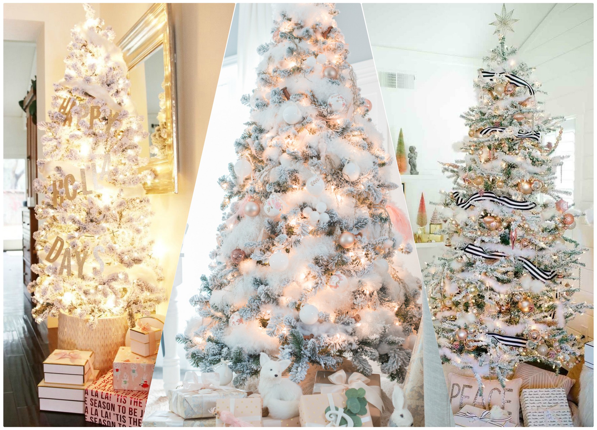 PunjabKesari, christmas tree, christmas tree photo,christmas tree images,christmas tree pictures,christmas tree pic, क्रिसमस ट्री इमेज