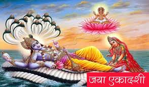 PunjabKesari, kundli tv, jaya ekadashi image
