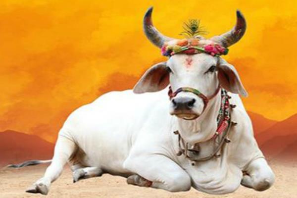 PunjabKesari Weekly Horoscope in Hindi