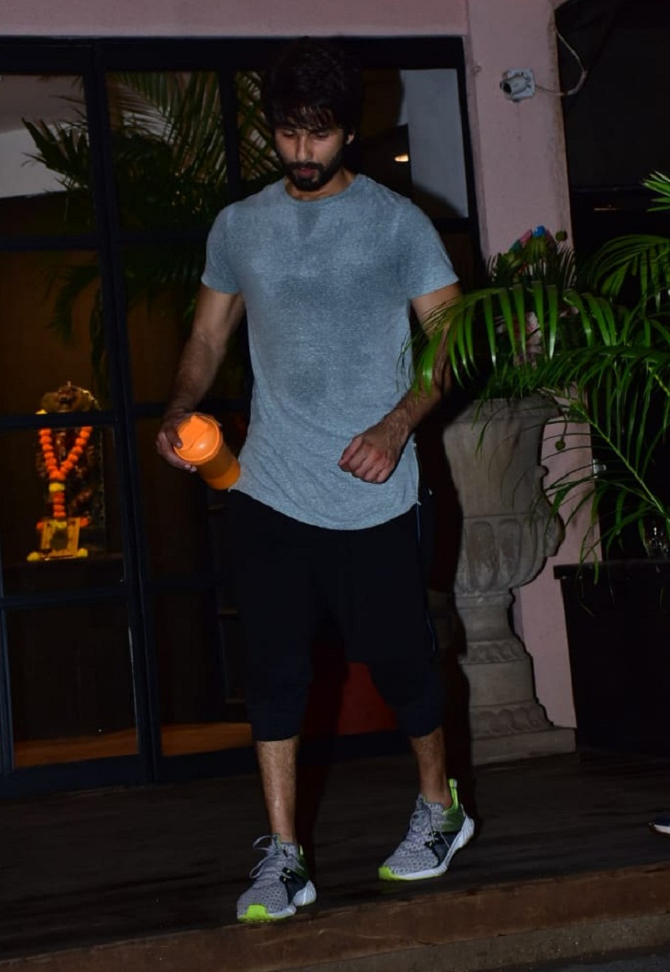 PunjabKesari,shahid kapoor image, shahid kapoor photo,shahid kapoor picture, Mira Rajput image, Mira Rajput photos, Mira Rajput pictures