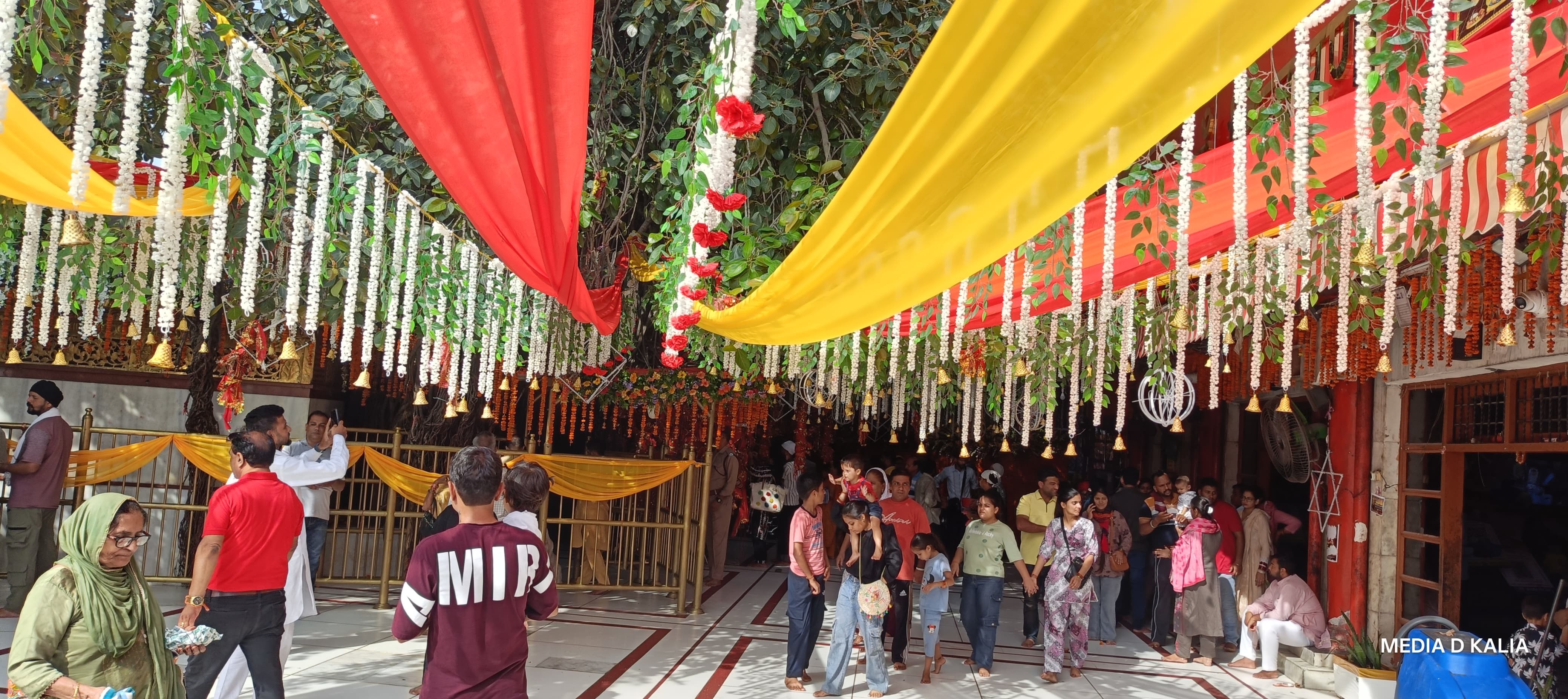 PunjabKesari Maa Chintpurni Mela