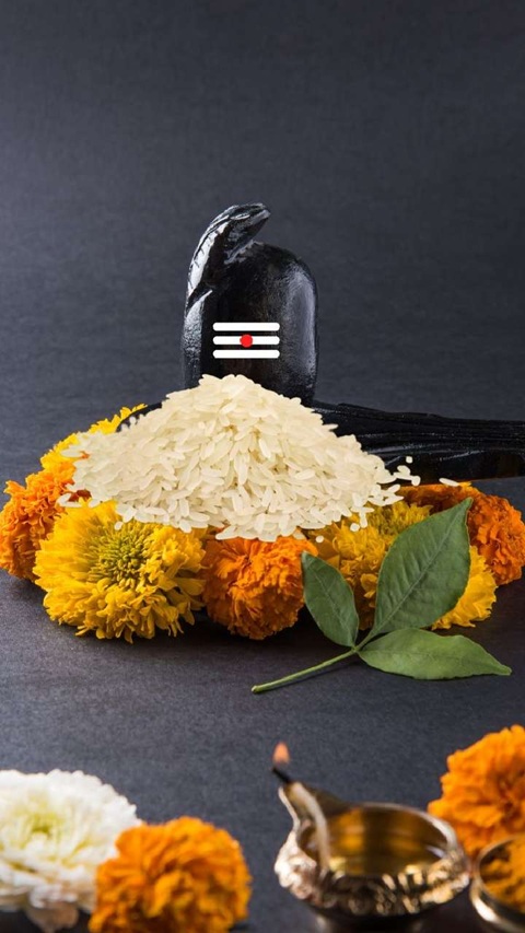 PunjabKesari