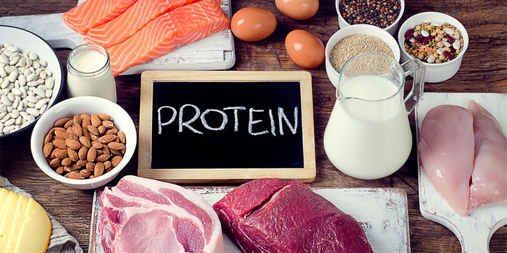 PunjabKesari, protein