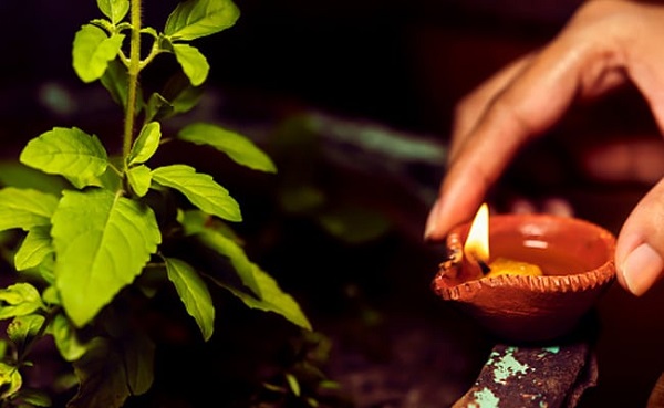PunjabKesari Offering Tulsi leaves to Hanuman