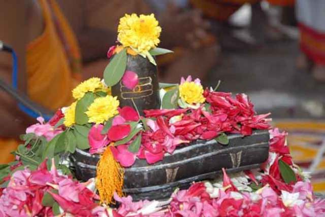 PunjabKesari, kundli tv, shivlinga pujan