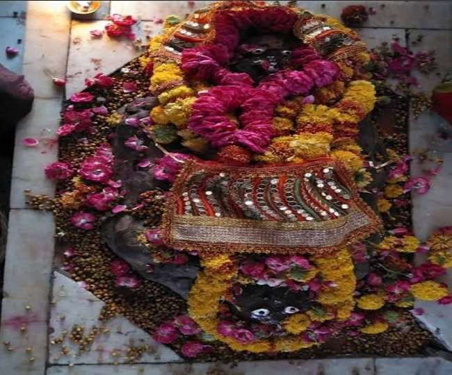 PunjabKesari kushmanda