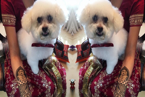 Unusual Indian Festivals