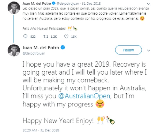 sports news, Tennis news in hindi, Australia Open 2019, Fifth world ranking, Del Potro, will not play, due to injury