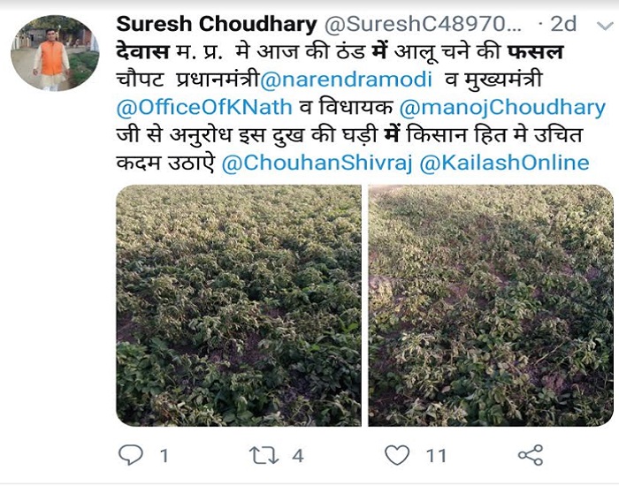 PunjabKesari, Madhya Pardesh Hindi News, Bhopal Hindi News, Bhopal Hindi Samachar, CM kamalnath, Action, Sown in cold crops, Letter