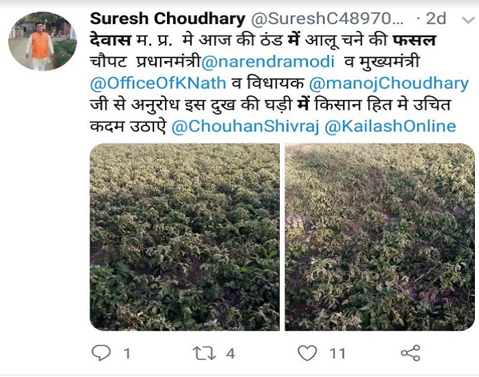 PunjabKesari, Madhya Pardesh Hindi News, Bhopal Hindi News, Bhopal Hindi Samachar, CM kamalnath, Action, Sown in cold crops, Letter