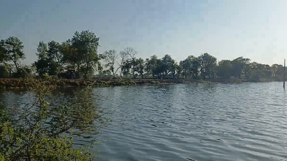 PunjabKesari