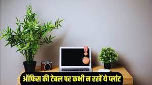 PunjabKesari Vastu Tips for Office Desk
