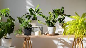 PunjabKesari Vastu Tips for Office Desk