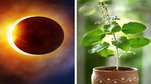 PunjabKesari Solar lunar eclipse 