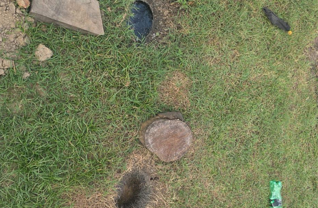 PunjabKesari, 2-arrest-in-illicit-liquor