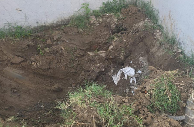 PunjabKesari, 2-arrest-in-illicit-liquor