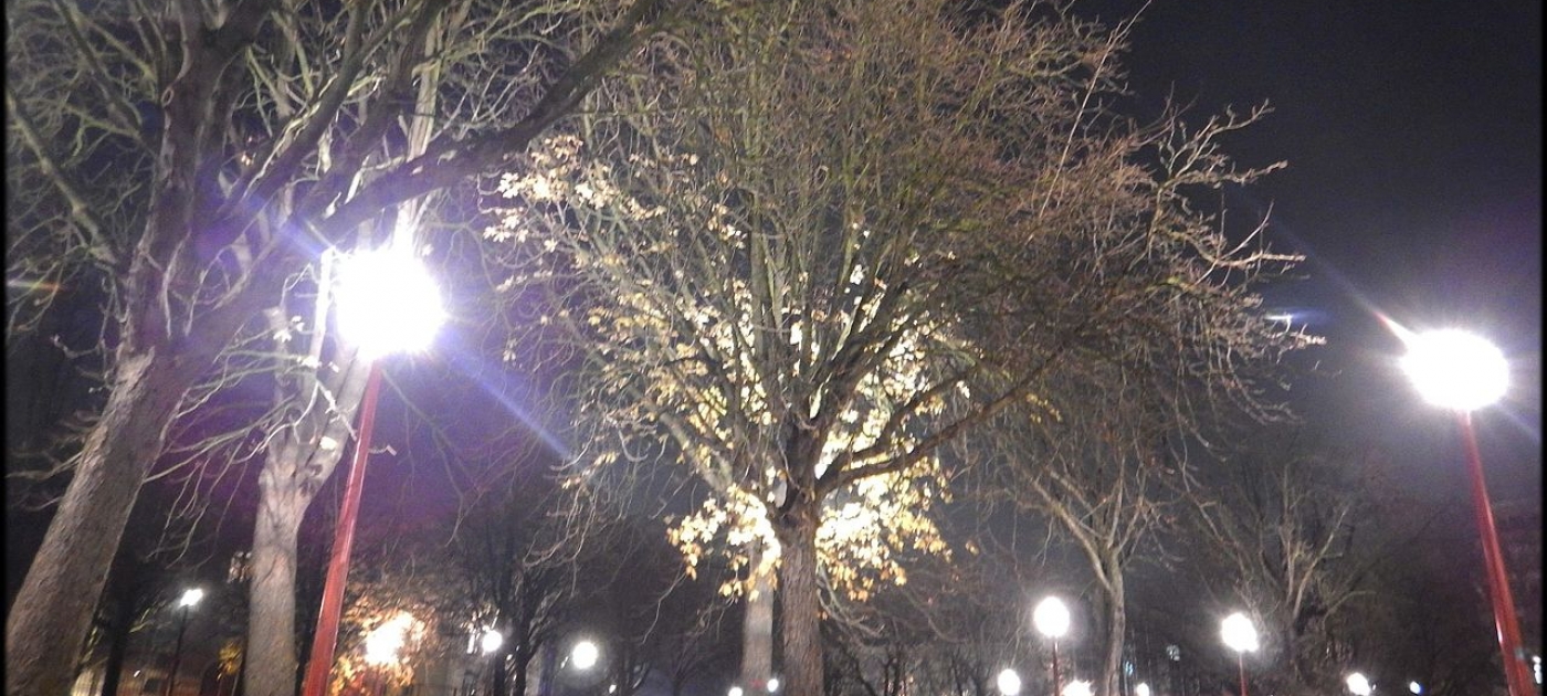 PunjabKesari Effect of Artificial and Natural light on the Human Body