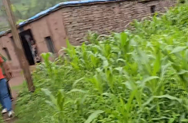 PunjabKesari, house damaged in Rajouri due to Heavy Rain