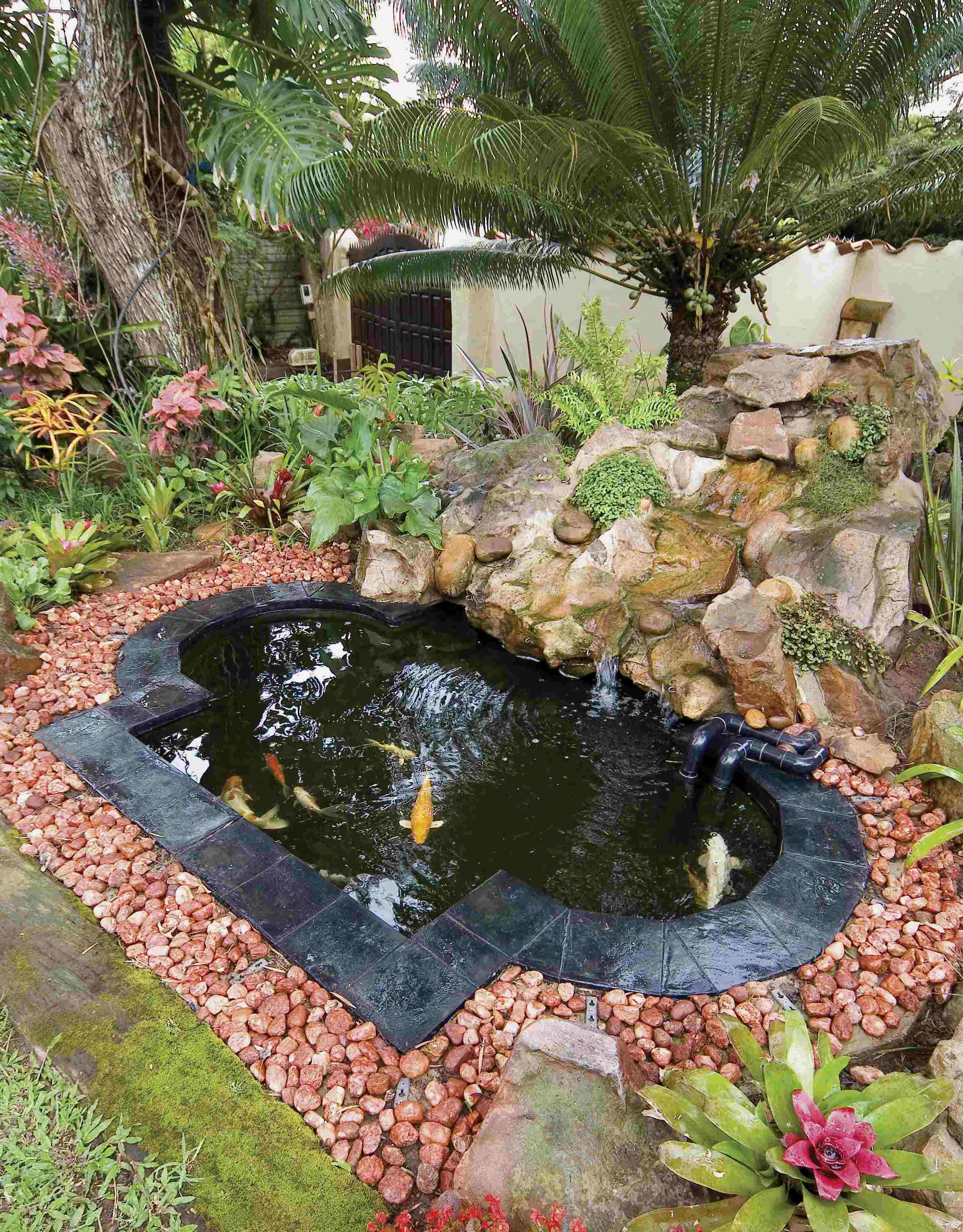 PunjabKesari Backyard Vastu Tips: