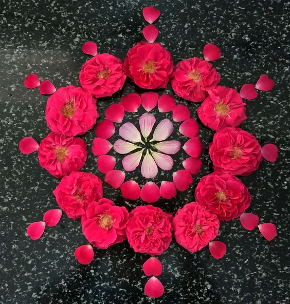 PunjabKesari,  rangoli designs images, Rangoli Design for Diwali,diwali rangoli images,ragolis photo,rangoli pic,रंगोली फोटो, रंगोली इमेज, दिवाली रंगोली