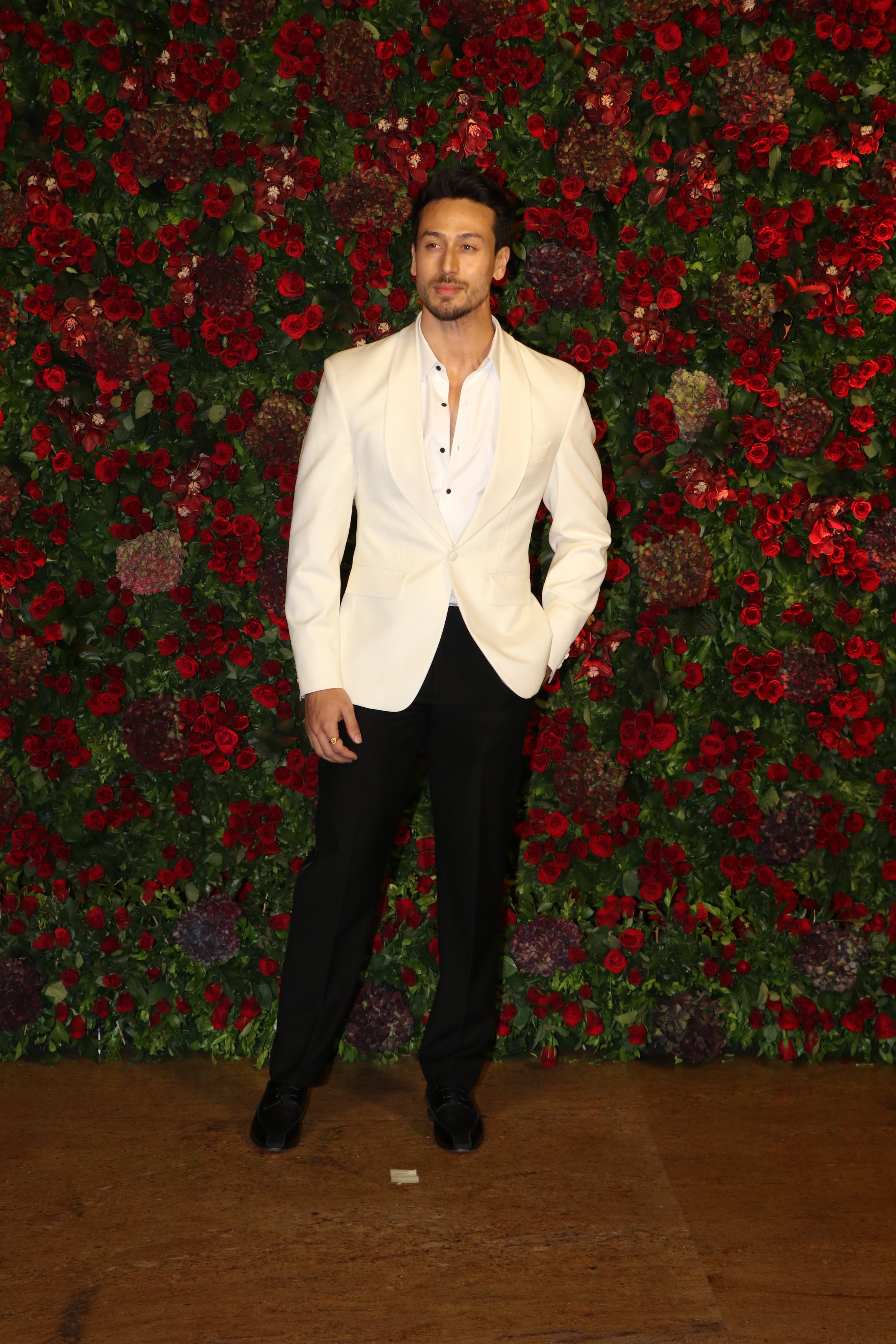 Bollywood Tadka, ,रणवीर सिंह image, दीपिका पादुकोण image,दिशा पाटनी image, टाइगर श्रॉफ image,