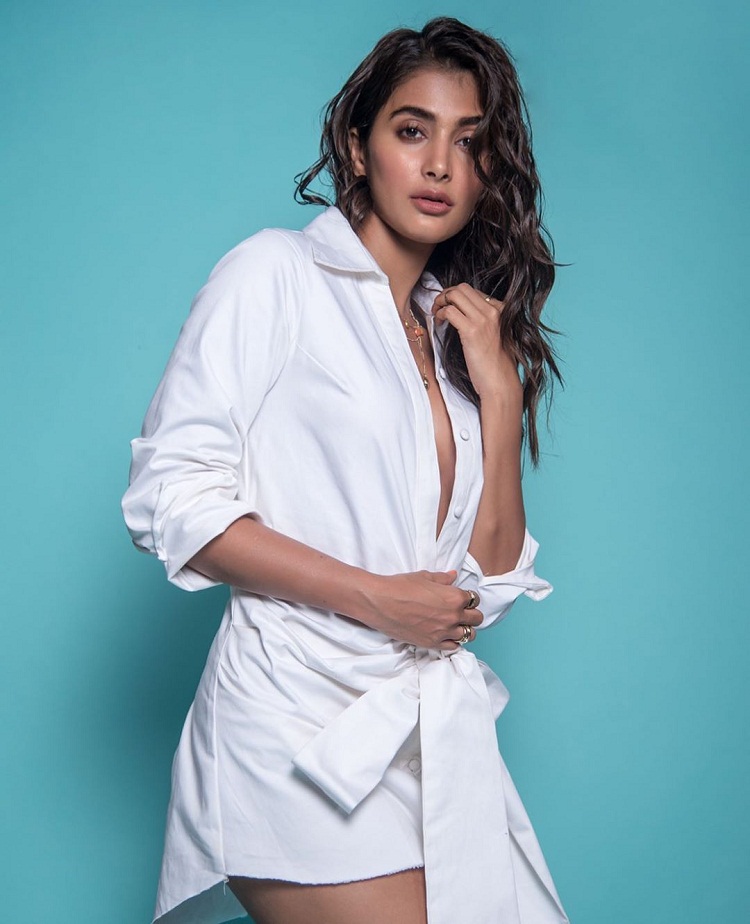 Bollywood Tadka,pooja hegde image, pooja hegde photo, pooja hegde pictures,