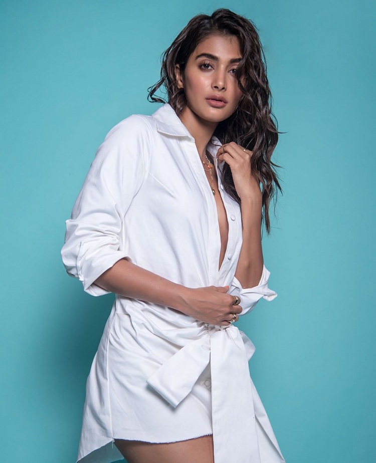 PunjabKesari,pooja hegde image, pooja hegde photo, pooja hegde pictures, 