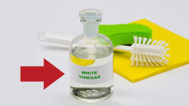 PunjabKesari, Vinegar