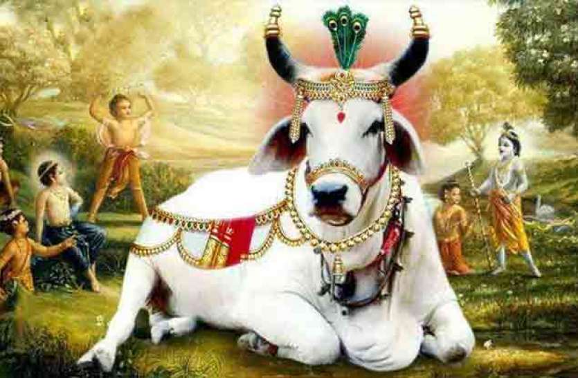 PunjabKesari, Gopashtami